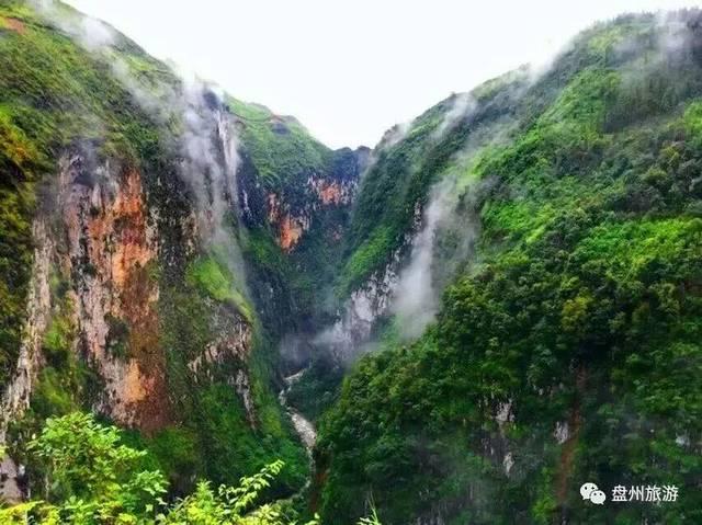 逃离诡异的森林