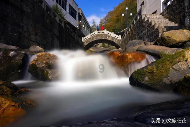 年少不懂张无忌，读懂才知其无情