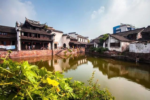 英雄的动物是什么生肖游戏画面