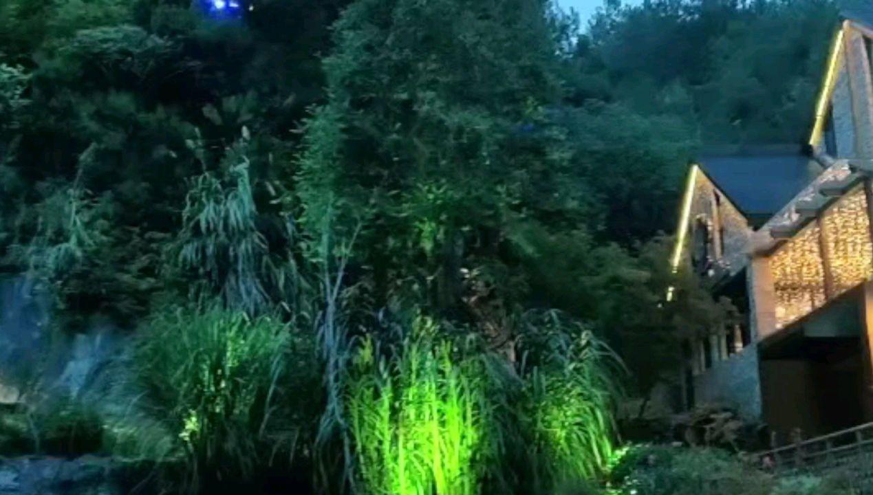 校园追星变形记